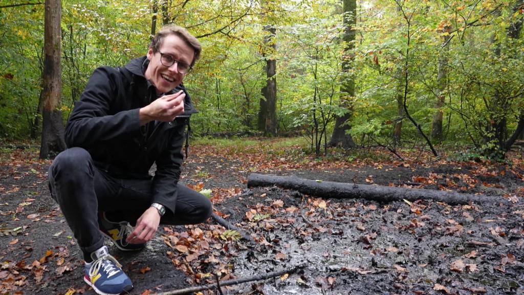 Foto: SR-Reporter David Differdange untersucht den Waldboden