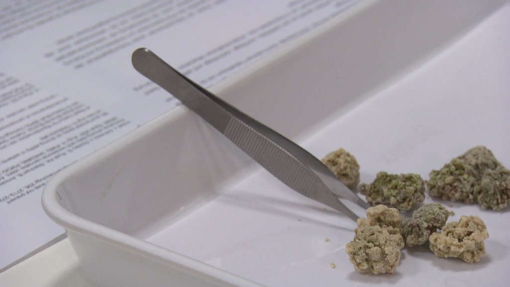 Pinzette und Cannabisblüten auf einem Tablett