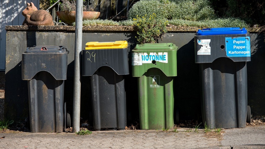 Verschiedene Mülltonnen für Restmüll, Kunststoffabfall, Biomüll und Papier stehen am Straßenrand