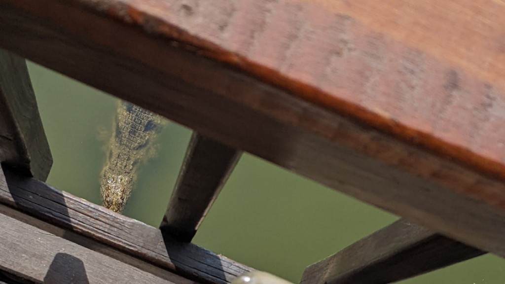 Christoph Borgans in einen südafrikanischen Lodge beim Mittagessen. Im Wasser im Fluss ist ein Krokodil zu sehen.